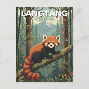 Röd panda i Langtang nationalpark Nepal Vykort