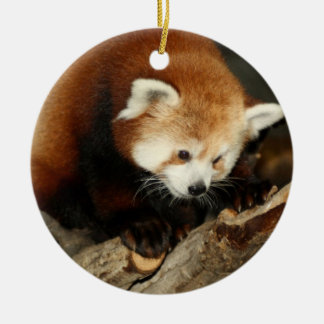 Röd Panda Julgransprydnad Keramik