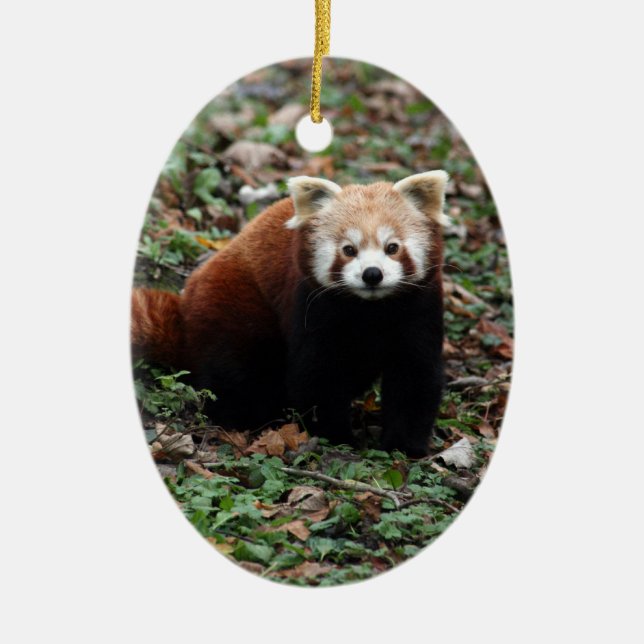 Röd Panda Julgransprydnad Keramik (Framsidan)