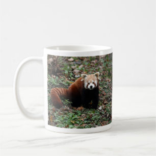 Röd Panda Kaffemugg