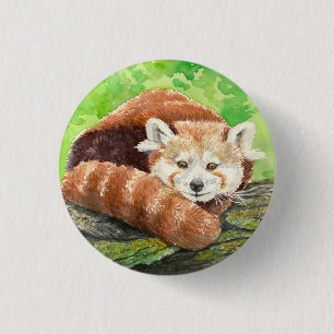 Röd panda knapp