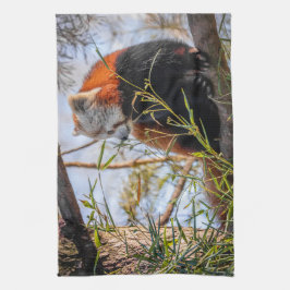 Röd panda kökshandduk