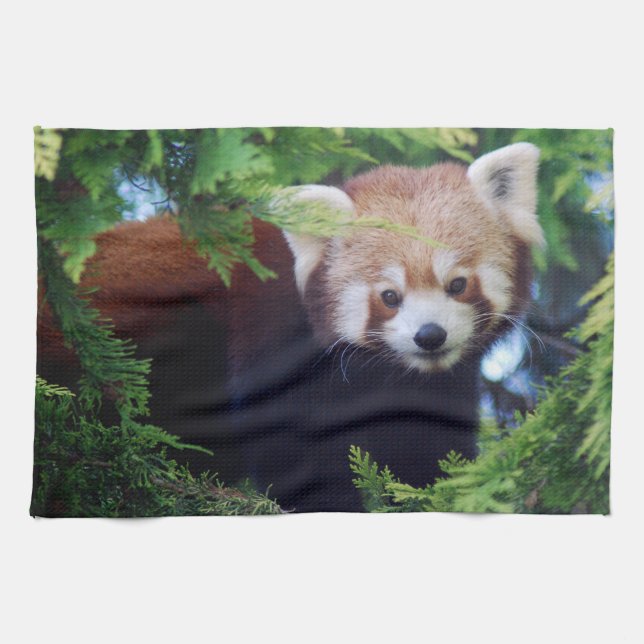Röd Panda Kökshandduk (Horisontell)