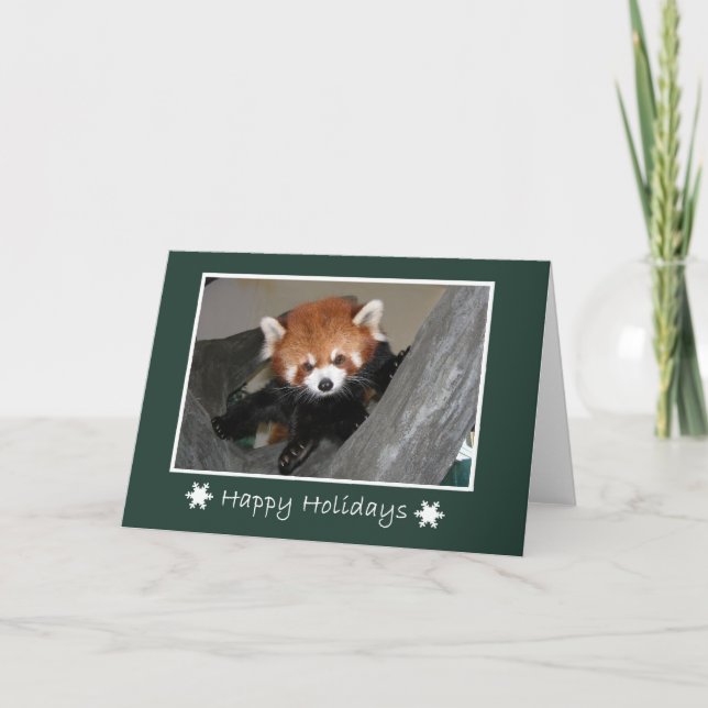 Röd Panda Kort (Framsida)