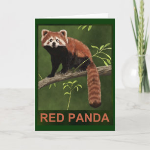Röd Panda Kort