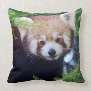 Röd Panda Kudde