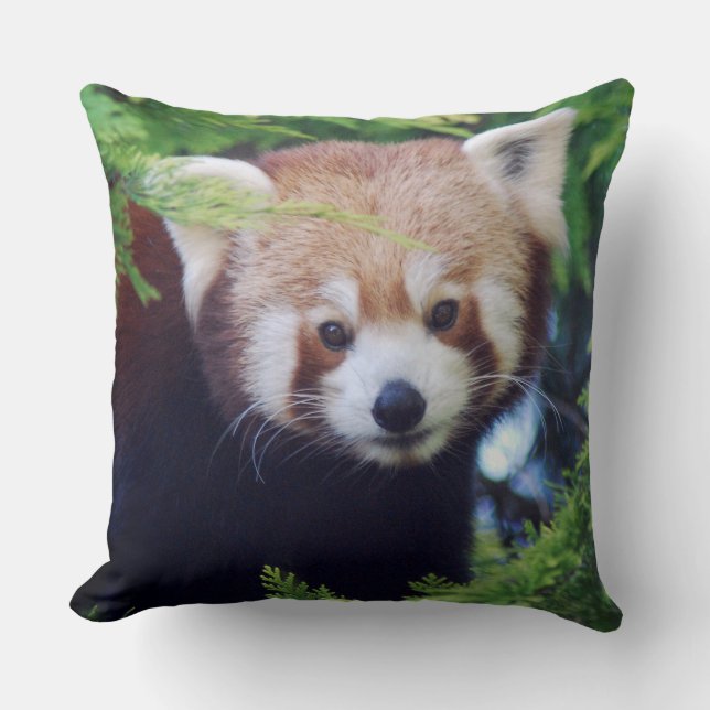 Röd Panda Kudde (Framsida)