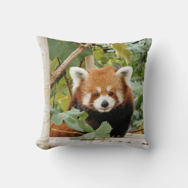Röd Panda Kudde (Framsida)