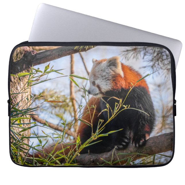 Röd panda laptop fodral (Framsidan)