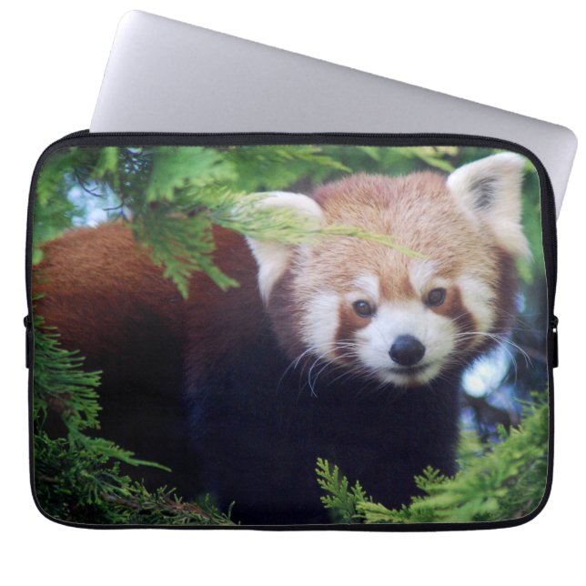 Röd Panda Laptop Sleeve (Framsidan)