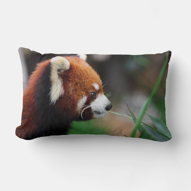 Röd panda lumbarkudde (Framsida)