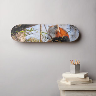 Röd panda mini skateboard bräda 18,5 cm