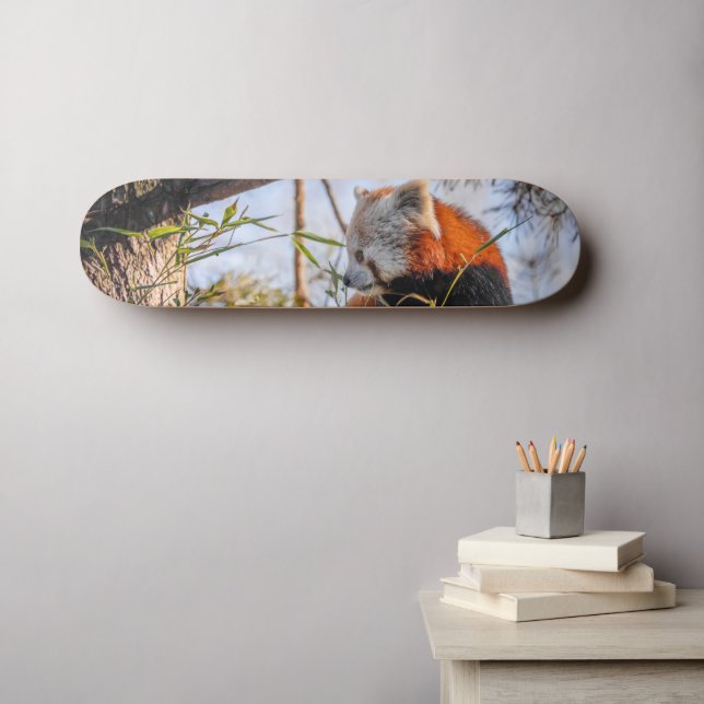 Röd panda mini skateboard bräda 18,5 cm (Väggkonst (Horz))