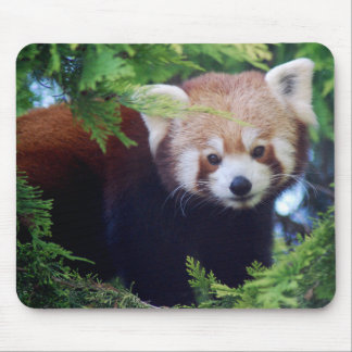 Röd Panda Mousepad Musmatta