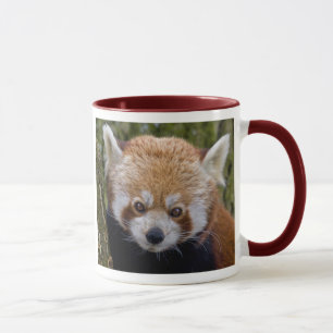 Röd Panda-mugg Mugg