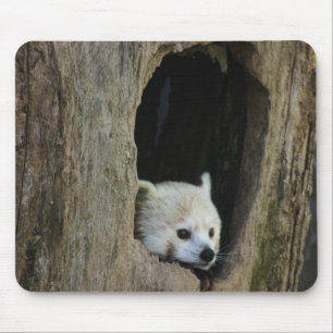 Röd Panda Musmatta