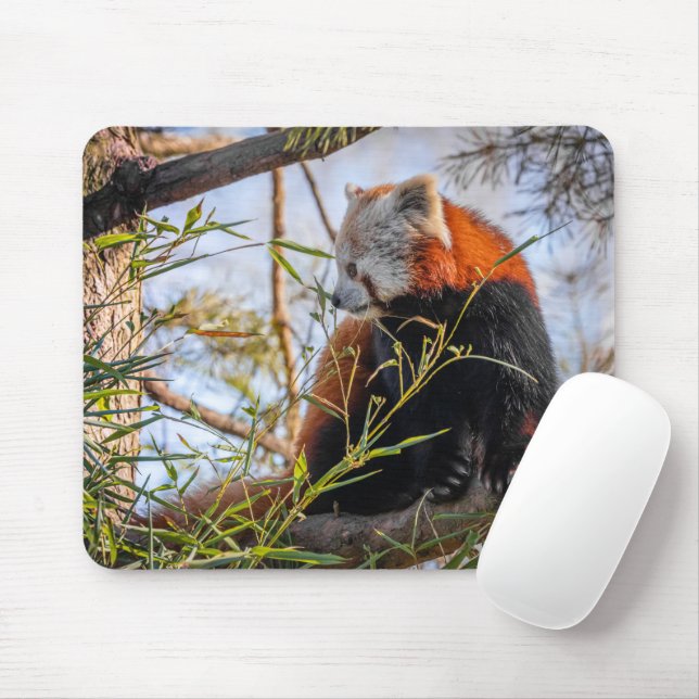 Röd panda musmatta (Med mus)