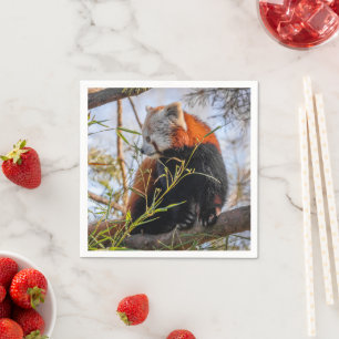 Röd panda pappersservett