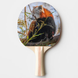 Röd panda pingisracket