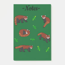 Röd Panda