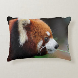 Röd panda prydnadskudde