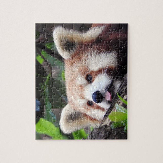 Röd Panda Pussel (Vertikal)