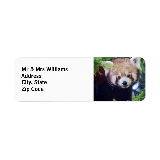 Röd Panda Returadress Etikett (Framsidan)