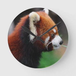 Röd panda rund klocka