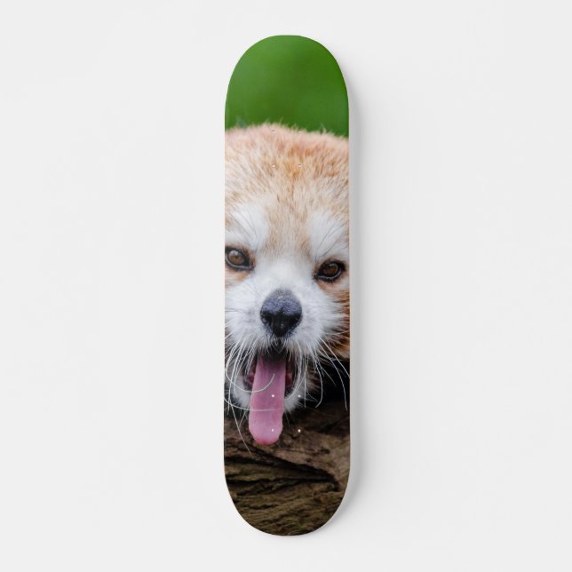Röd Panda Skateboard Bräda 21,5 Cm (Framsida)