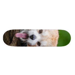 Röd Panda Skateboard Bräda 21,5 Cm