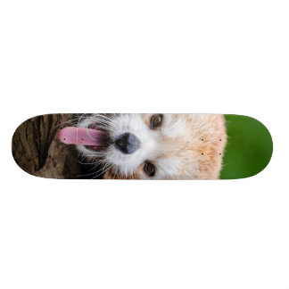 Röd Panda Skateboard Bräda 21,5 Cm