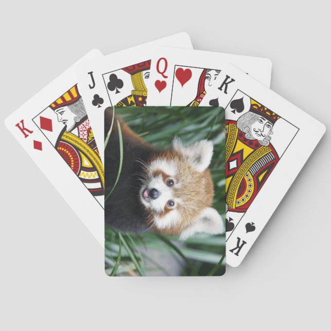 Röd Panda som leker kort Spel Kort (Baksidan)