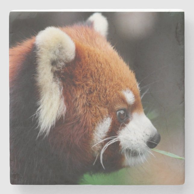 Röd panda stenunderlägg (Framsidan)