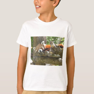 röd panda t-shirt