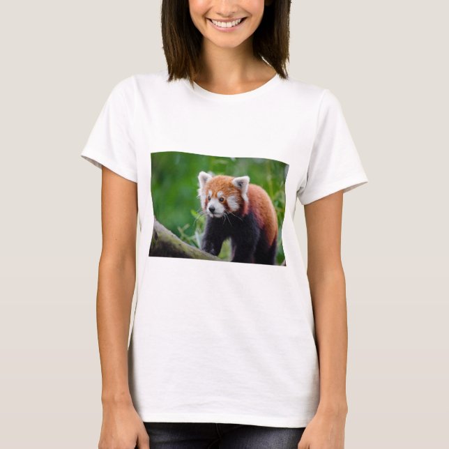 Röd Panda T Shirt (Framsida)