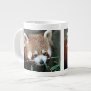 Röd Panda, Taronga Zoo, Sydney, Australien Jumbo Mugg