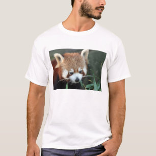 Röd panda, Taronga Zoo, Sydney, Australien T Shirt