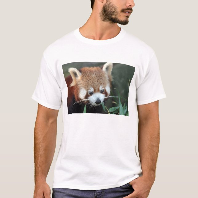 Röd panda, Taronga Zoo, Sydney, Australien T Shirt (Framsida)
