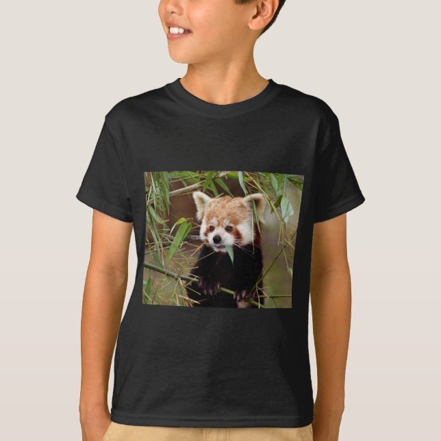 Röd Panda Tee Shirt (Framsida)