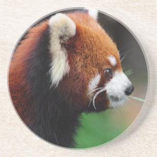 Röd panda underlägg