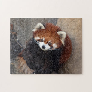 Röd pandakussel pussel