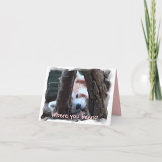 Röd Pandanotecard: "Var vara dig? Jag missa dig! Kort