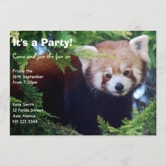 Röd Pandapartyinbjudan Inbjudningar