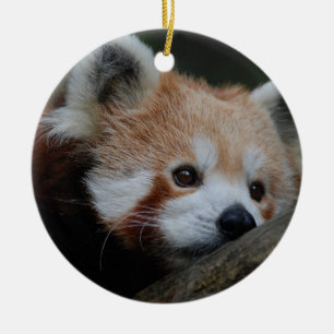 Röd Pandaprydnad Julgransprydnad Keramik