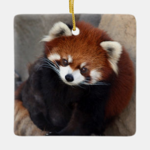 Röd Pandaprydnad Julgransprydnad Keramik
