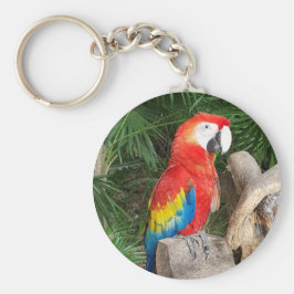 Röd papegoja nyckelring