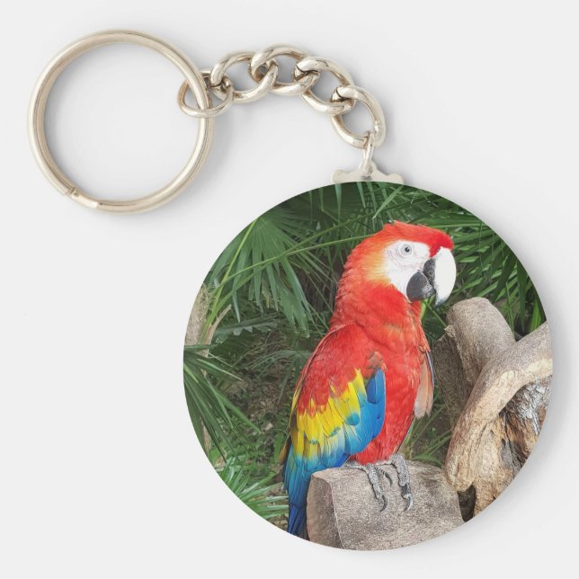Röd papegoja nyckelring (Framsidan)