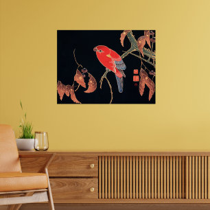 Röd papegoja på gren av träd, poster