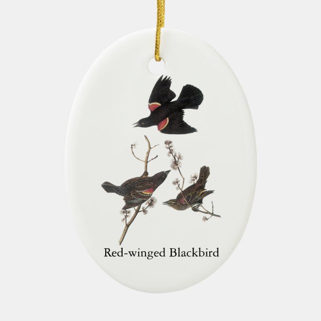Röd-Påskyndad Blackbird, John Audubon Julgransprydnad Keramik (Framsidan)