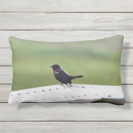 Röd-påskyndad Blackbird Lumbarkudde